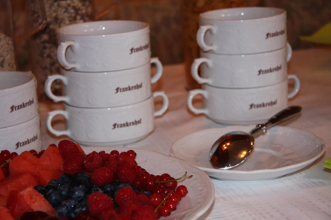 Hotel Frankenhof Haibach  Deutschland